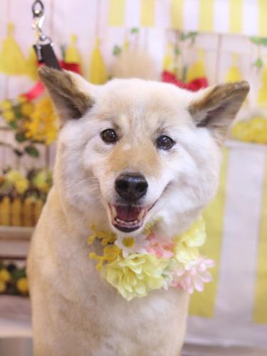 20240412れんくん